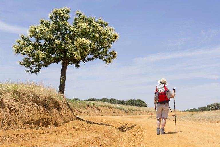 Cammino Di Santiago Il Pellegrinaggio Per Definizione GoodTrekking